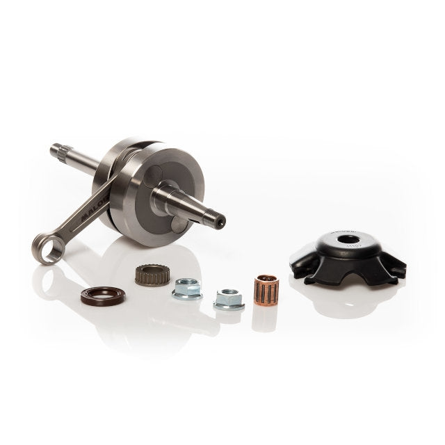 https://motoscoot.net/cdn/shop/files/5317822.jpg